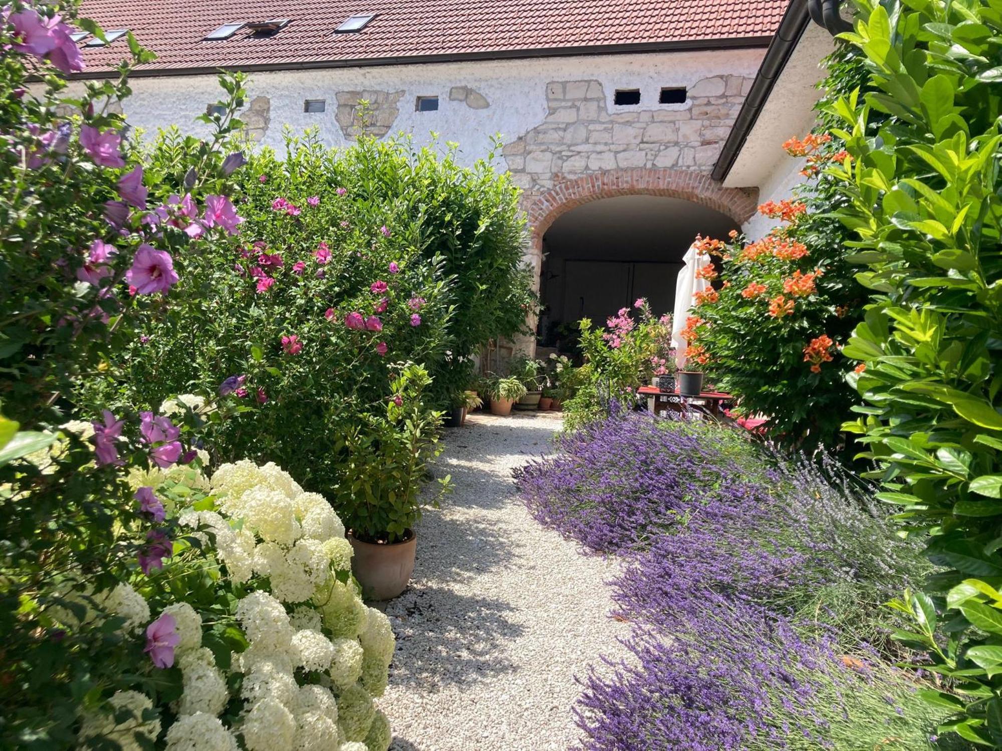 Haus Diogenes Apartment Moerbisch Am See Luaran gambar